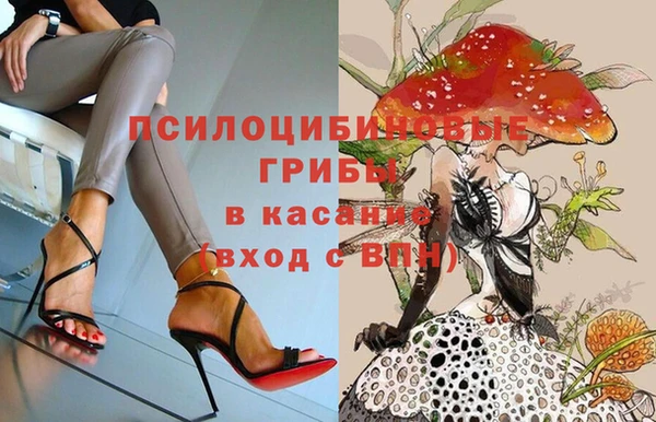 герыч Дмитров