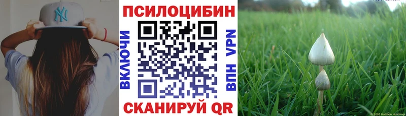 Галлюциногенные грибы мицелий  площадка наркотические препараты  Палласовка 