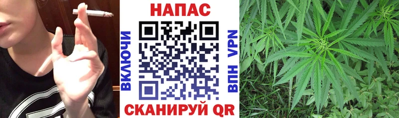 Каннабис ГИДРОПОН  наркота  Палласовка 